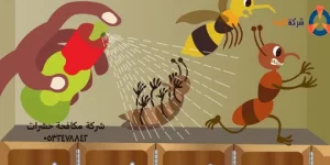 مكافحة حشرات بجازان 1