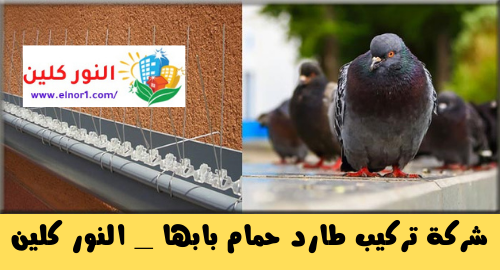 شركة تركيب طارد الحمام بابها 2 شركة تركيب طارد حمام بابها _ شركة النور كلبن