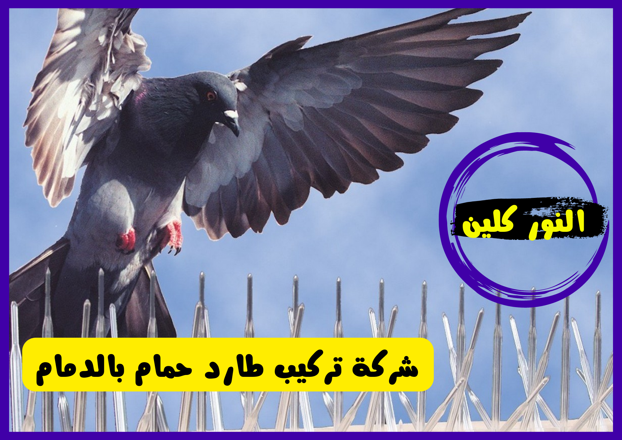 شركة تركيب طارد حمام بالدمام 1 شركة تركيب طارد حمام بالدمام [ النور كلين