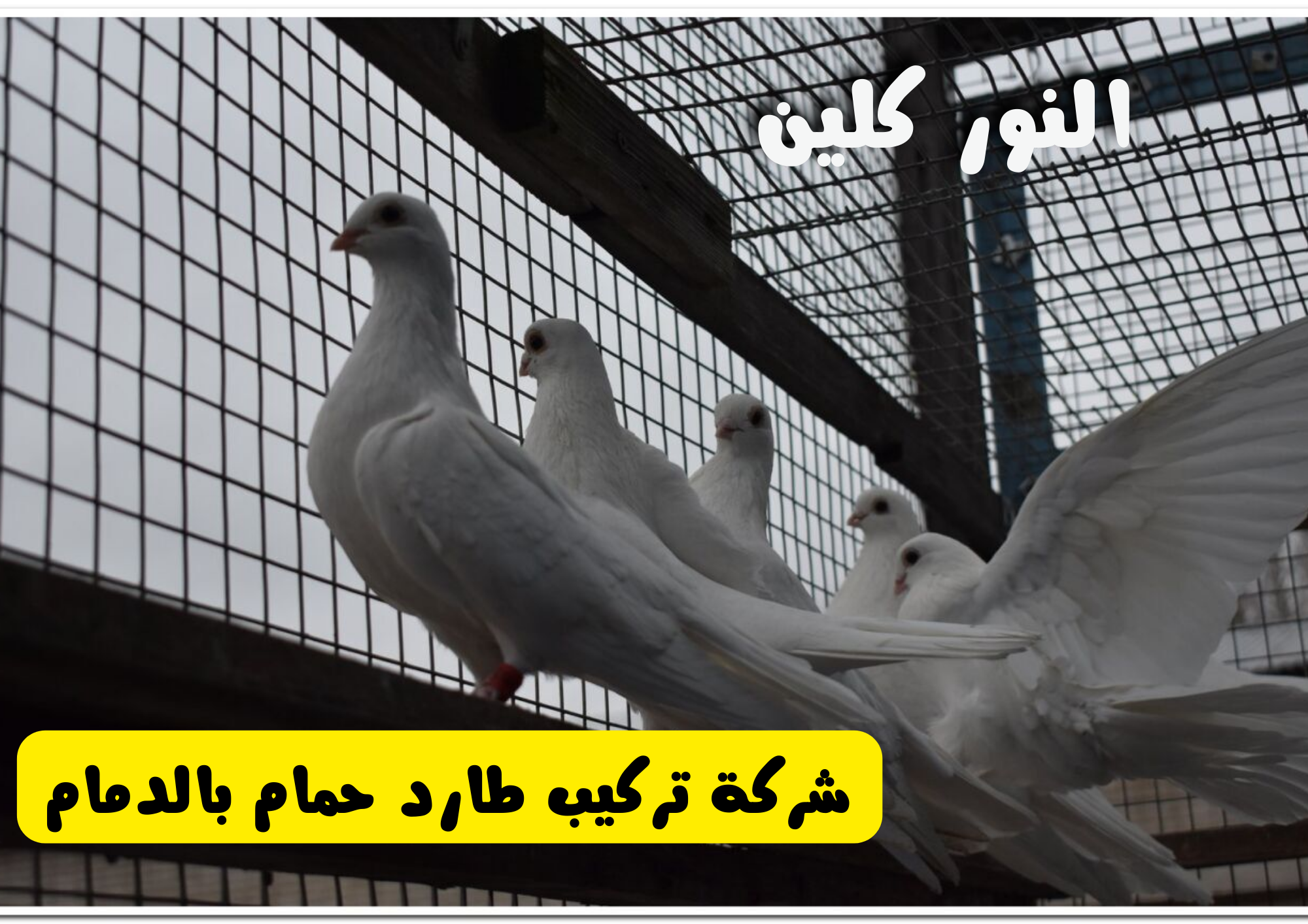 شركة تركيب طارد حمام بالدمام 2 شركة تركيب طارد حمام بالدمام [ النور كلين
